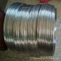 Duplex Steel Wire