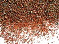 Garnet abrasive sand-blasting metal