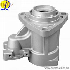 OEM Custom Precision Stainless Steel Casting (304 316 316L)