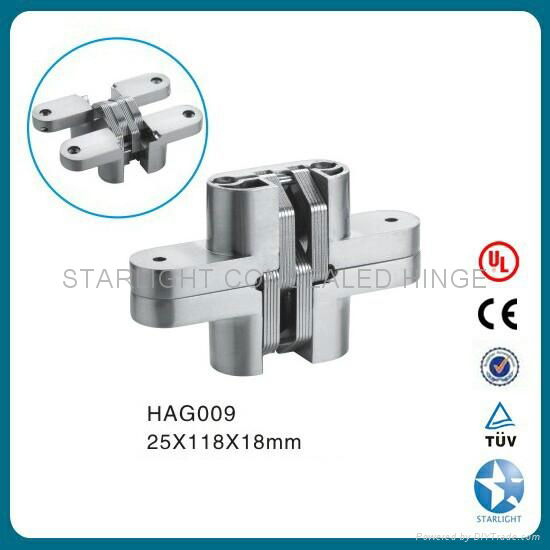 Zinc alloy concealed hinge SOSS hinge 4