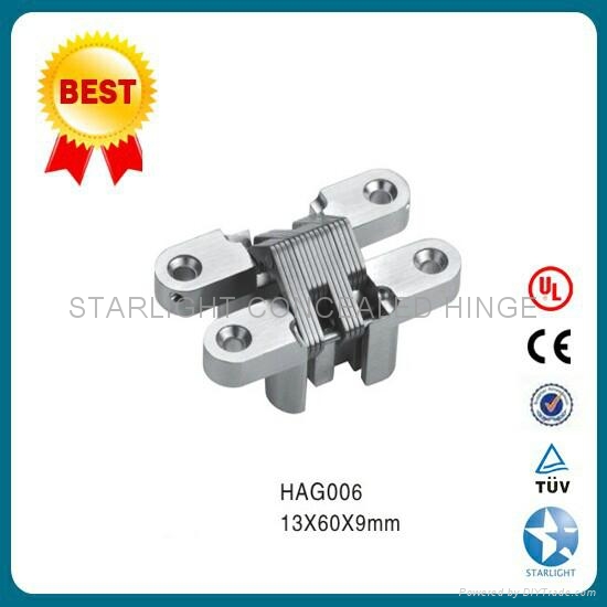 Zinc alloy concealed hinge SOSS hinge 5