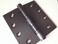 ORB finish stainless steel hinge with crown head 5
