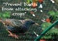 BOP anti bird net&mesh fruit&garden protect net&mesh anti bird net&mesh(factory)