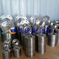 titanium flange 2