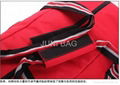 Nylon Travel bag Hand Bag  4