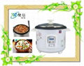 deep color jar electric rice cooker 1