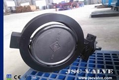 High performance butterfly valve double eccentric