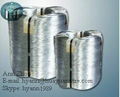 Electro-galvanized Iron Wire 2