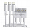 8 pin IPHONE 5 LIGHTNING USB CHARGER