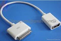 8 pin IPHONE 5 LIGHTNING USB CHARGER CABLE  iOS7 2