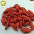 Dried fruit good for health factory supply best quality dried goji berry ,dried  1