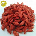 Dried fruit good for health factory supply best quality dried goji berry ,dried  2