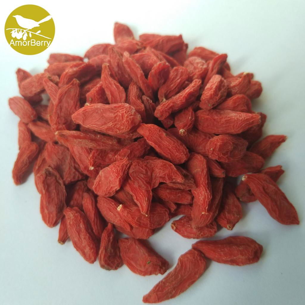 Himalayan Goji Berry Natural Goji Berry Supplier New product organic dried goji 