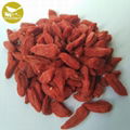 Himalayan Goji Berry Natural Goji Berry Supplier New product organic dried goji  1