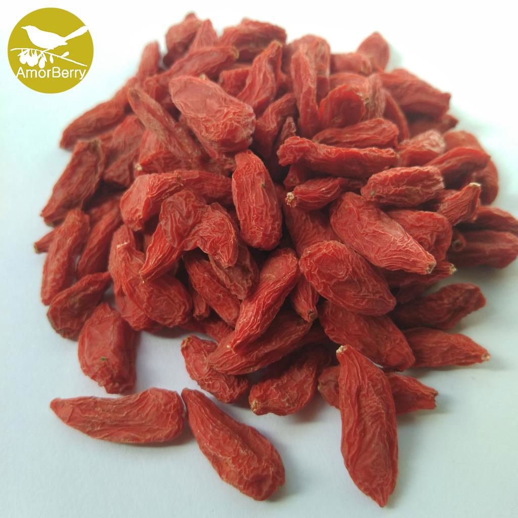 Himalayan Goji Berry Natural Goji Berry Supplier New product organic dried goji  3