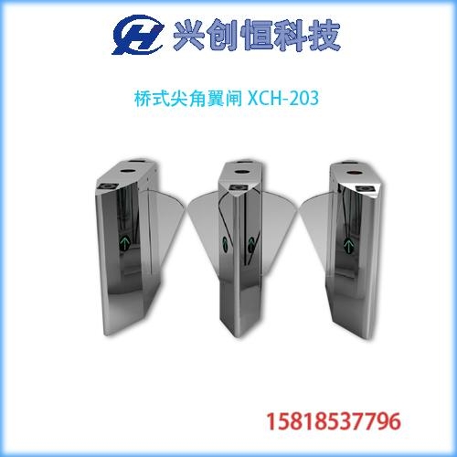 桥式尖角圆弧翼闸（挡闸）XCH-203