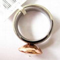 stainless steel ring 2