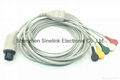 ECG Cable,5 leadwires-AMP6P,Snap, IEC 1