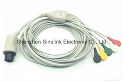 ECG Cable,5 leadwires-AMP6P,Snap, IEC