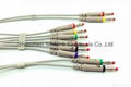 Hellige One Piece EKG Cable with 10 Leadwires, IEC 3