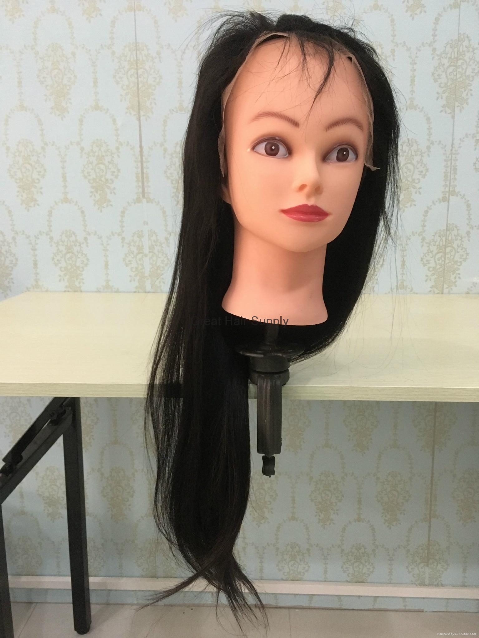 full lace wigs straight virgin brazilian human hair good quality FLW