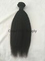 kinky straight virgin braziian human hair weft unprocessed  factory price good 2