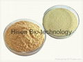 High Protein Feed Grade Beer Yeast 1