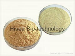 High Protein Feed Grade Beer Yeast