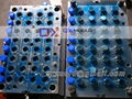 plastic cap mold 2