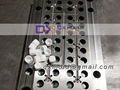 plastic cap mold 4