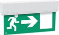 Conventional LED emergency lighting 1