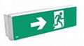 Addressable LED emergency lighting