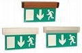 Addressable LED emergency lighting 4