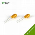 dipped solid tantalum capacitor