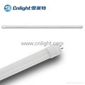 China factory LED T8 tube wholesales price 4