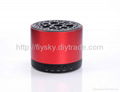 Mini Portable Bluetooth Speaker 5