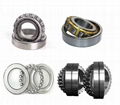 Ball Bearings & Roller Bearings 5