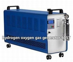 hydrogen oxygen gas generator with 600 liter/hour hho gas output