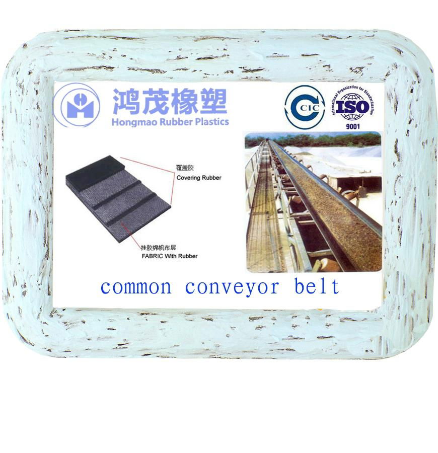 common conveyor belt