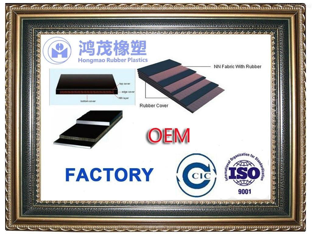 Nylon conveyor belt manufacturer 2