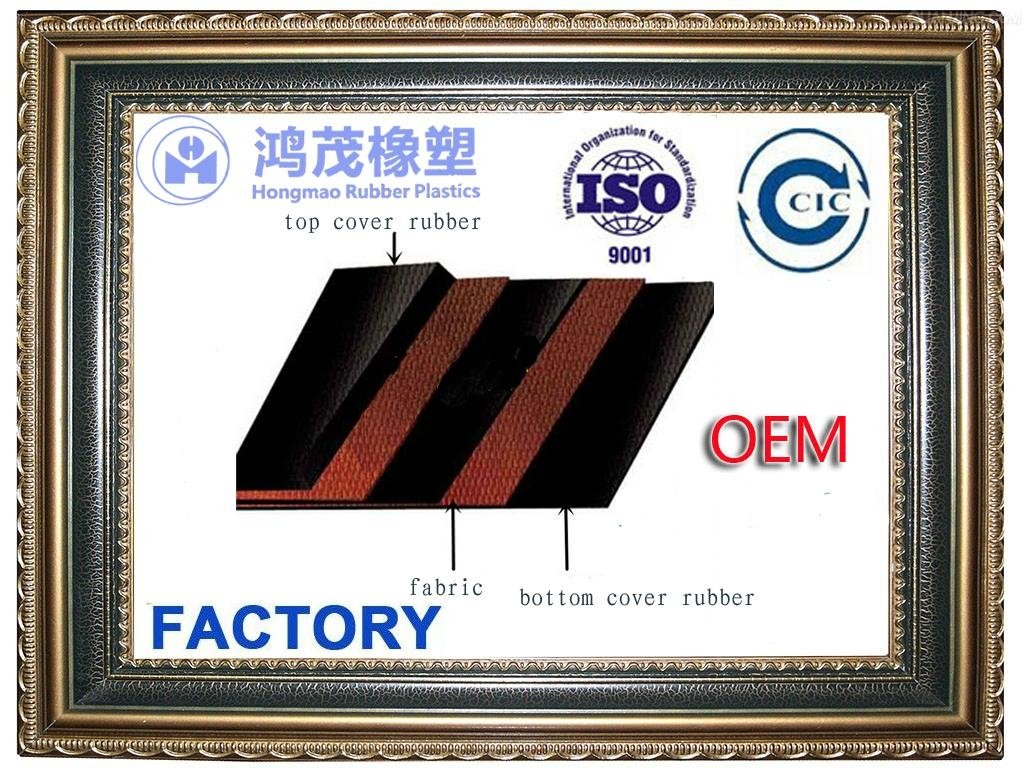 Nylon conveyor belt manufacturer 3