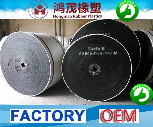 Nylon conveyor belt manufacturer 5