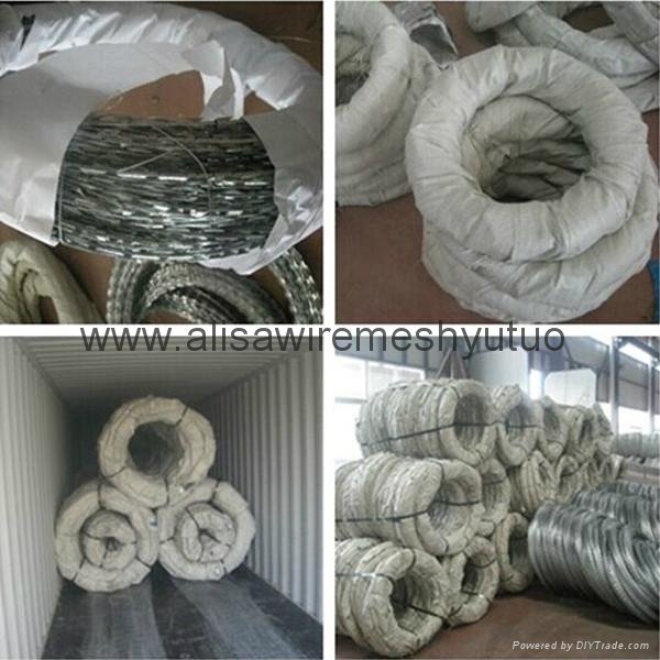 high tensile galvanized sharp razor barbed wire for security fence 4