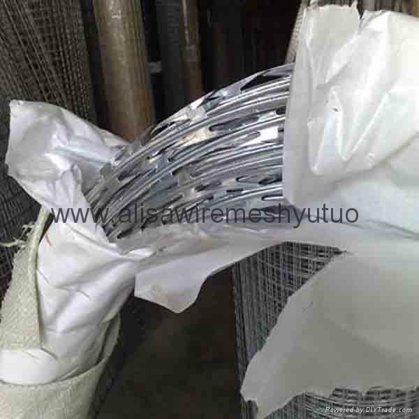 high tensile galvanized sharp razor barbed wire for security fence 1