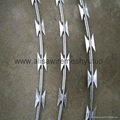 Hot Dippes Galvanized concertina razor wire bto-22  2