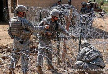 Concertina razor wire for prison and pasture(direct factory) 4