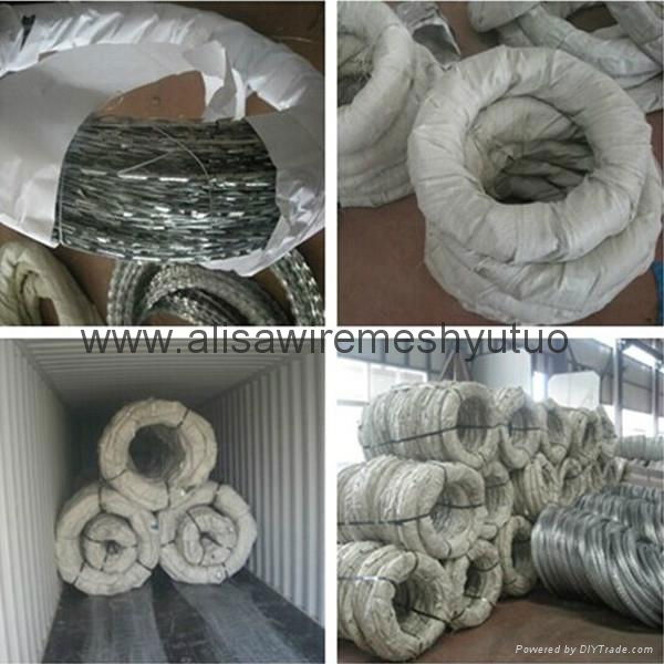 Concertina razor wire for prison and pasture(direct factory) 5