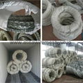 Concertina razor wire for prison and pasture(direct factory)