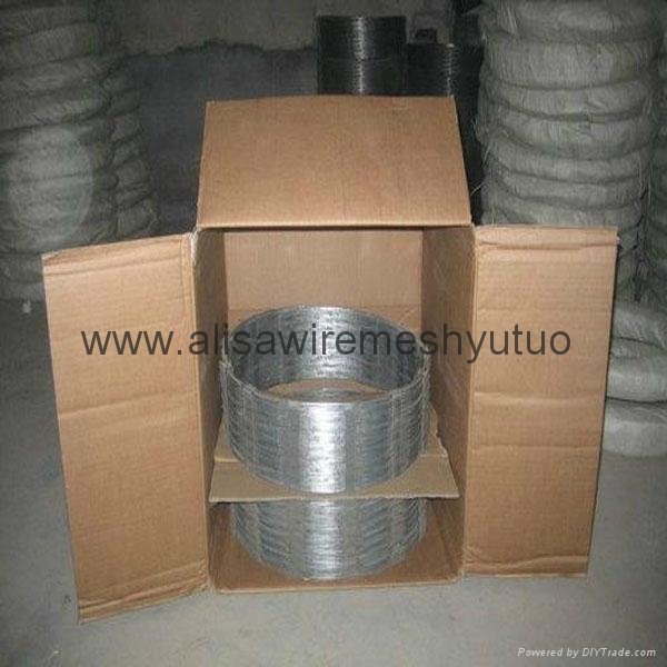 BTO-22 5kg carton packing hot dip galvanized concertina razor wire for fence 3