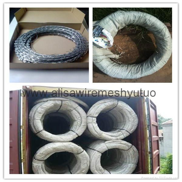 BTO-22 5kg carton packing hot dip galvanized concertina razor wire for fence 4